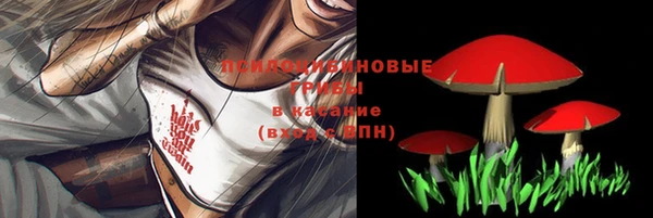 стаф Алексеевка