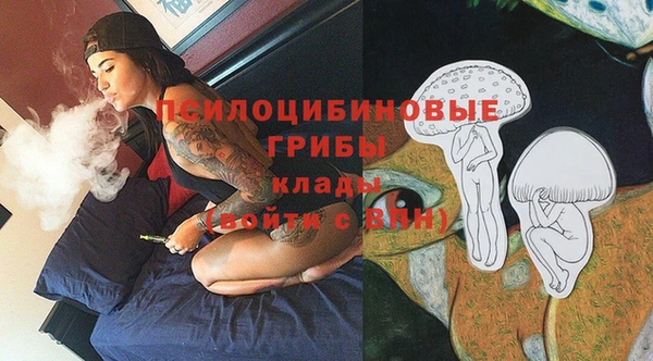 гашик Алексин