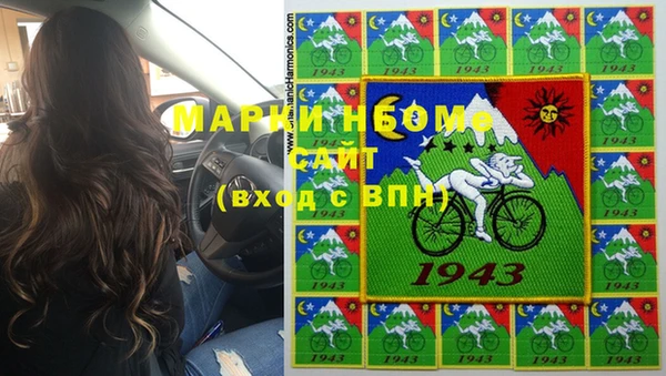 гашик Алексин