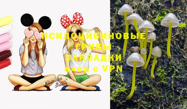 стаф Алексеевка