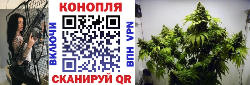 shop наркотические препараты  цена наркотик  Камызяк  Конопля индика 